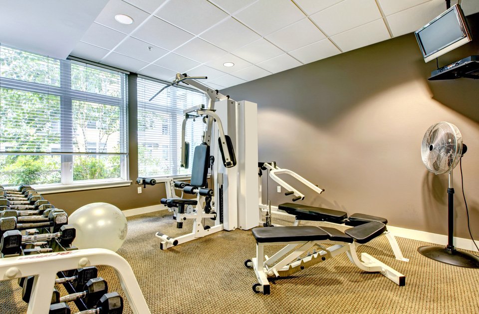 Fitness and Wellness